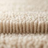 Carpet cleaning close-up Melbourne