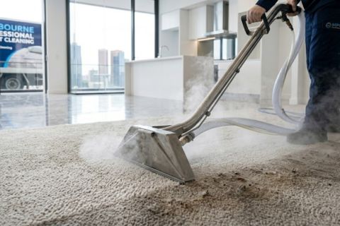 Carpet and upholstery cleaning Melbourne — steam cleaning specialists